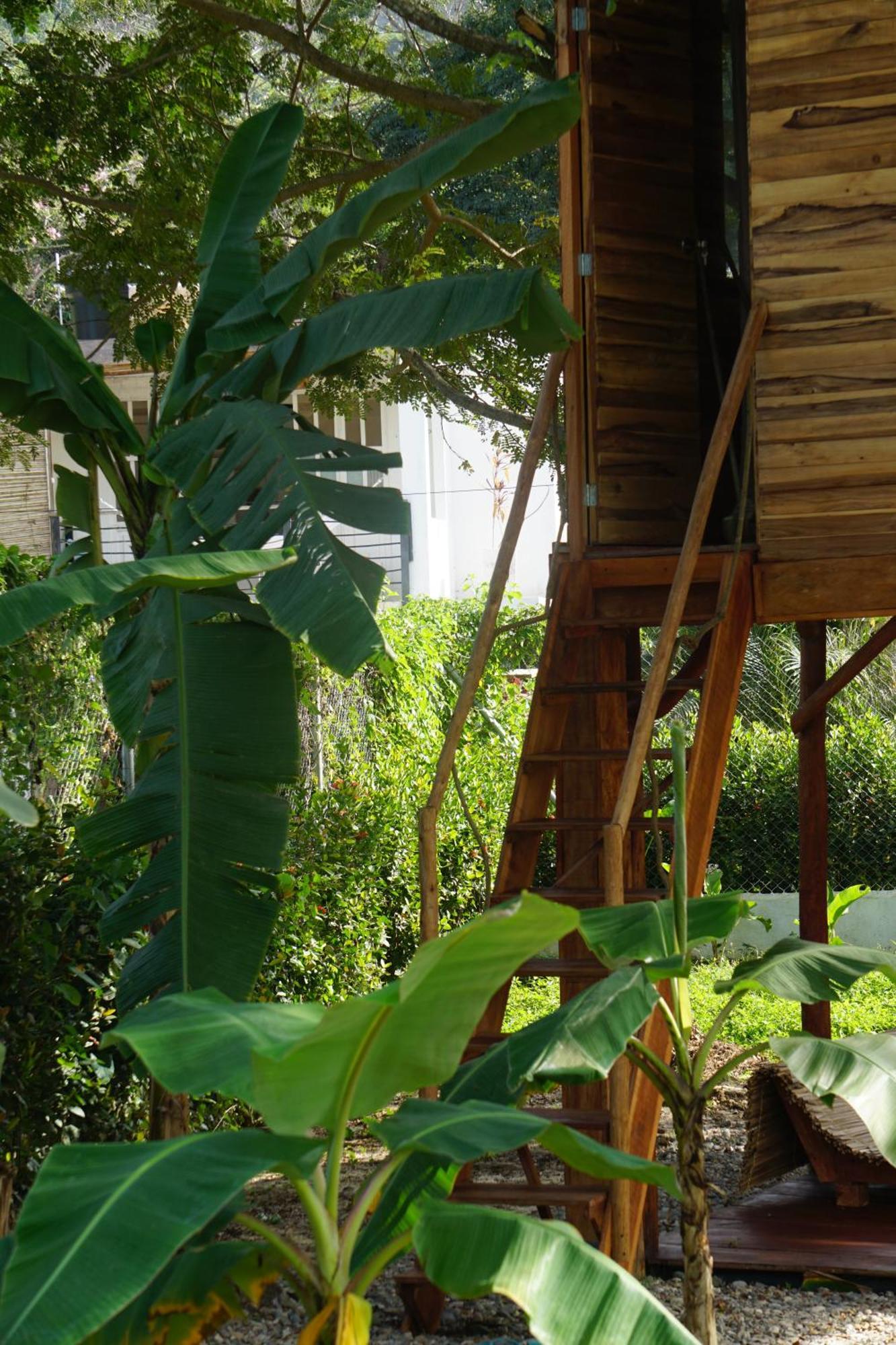Atalaya Del Mar Palomino Hotell Eksteriør bilde